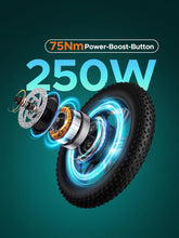 Laden Sie das Bild in den Galerie-Viewer, ENGWE L20 Boost E-Bike 48V 13Ah 250W 25km/h Schwarz