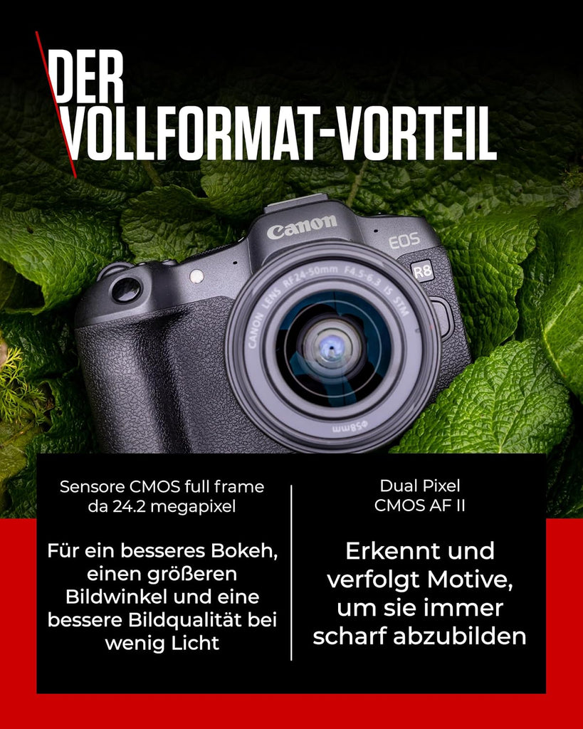 Canon EOS R8 + RF 24-50mm F4.5-6.3 IS STM Systemkamera 24,2 MP Schwarz