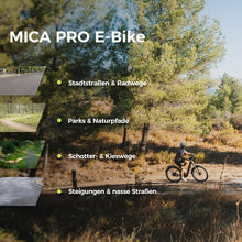 Laden Sie das Bild in den Galerie-Viewer, DERUIZ Mica Pro Trekking E-Bike Tiefeinsteiger 27,5/29 Zoll 110 Nm